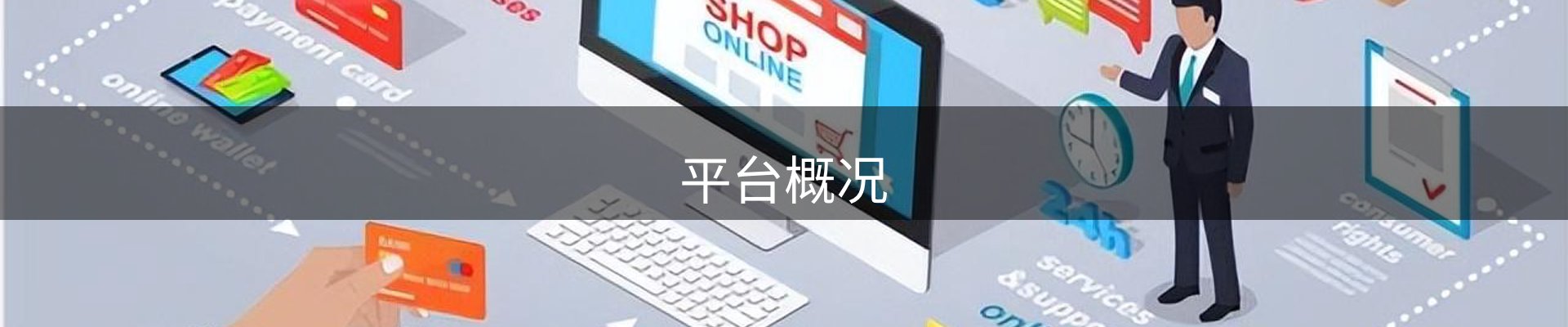 平台概况